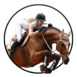 皇家赛马和跳跃模拟器游戏