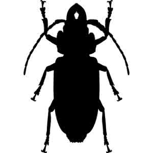 蟑螂模拟器3d最新版