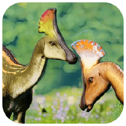 扇冠大天鹅龙模拟器手机版