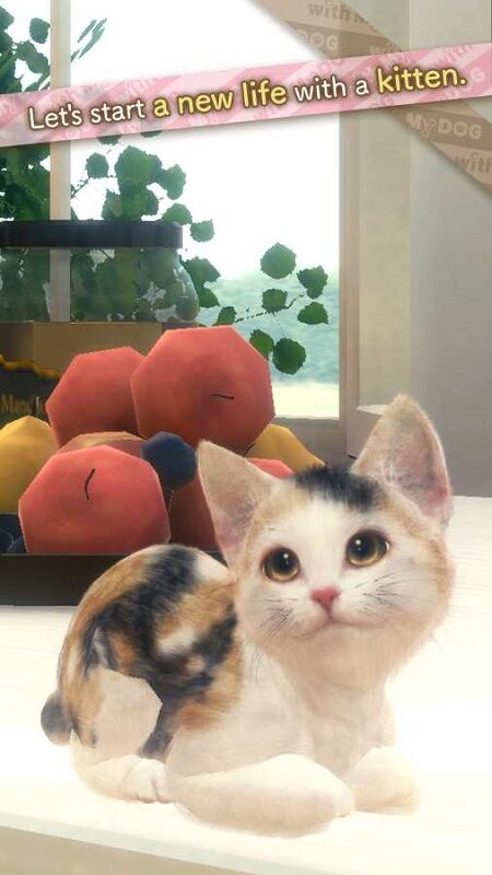 和我的猫在一起游戏