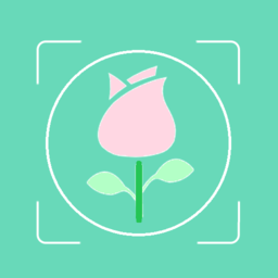 行色识花app