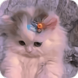 猫爪工具箱app