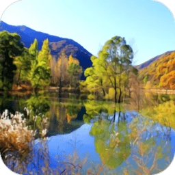 爱黄龙手机客户端