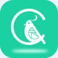晨雀app官方版