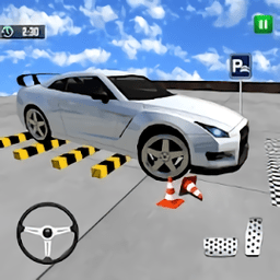 真正的停车模拟器游戏