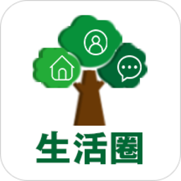 大杨树信息网app